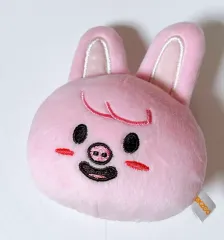 Stray Kids(ストレイキッズ・スキズ・SKZ) スキズ チャンビン(CHANGBIN) SKZOO(スキズー) DWAEKKI(トゥエッキ) まんまる むちぽふぬいぐるみ 出品