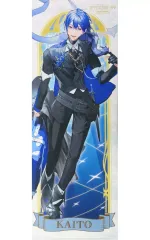 2026年最新】kaito タペストリーの人気アイテム - メルカリ