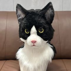 羊毛フェルト 猫 リアル アメリカンショートヘア - メルカリ