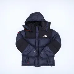 85 THE NORTH FACE ザノースフェイス サミット 700 ウィンドストッパー グースダウン ダウンジャケット 0120J