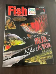 2026年最新】back number fishの人気アイテム - メルカリ