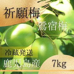 【鶯宿梅】青梅 10キロ 鹿児島産 M〜L混合　冷蔵便　栽培期間中農薬不使用 鶯宿梅】青梅 10kg 鹿児島産 農薬不使用＊冷蔵便 - メルカリ