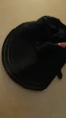 黒色 ベースボールキャップ 帽子