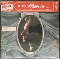 100部限定 真作 天野喜孝 キャシャーンII シルクスクリーン