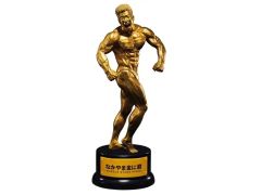 FWJ フィジーク トロフィーメダルセット 2位 - メルカリ