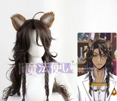 2026年最新】レオナ・キングスカラー ウィッグの人気アイテム - メルカリ