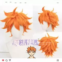 再入荷 特価 日向翔  ハイキュー!! コスプレ ウィッグ+ネット新品 CJF505P131