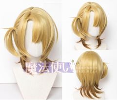 サメ子様 コスプレ ウィッグ オーダー 専用ページ サメ子様 コスプレ ウィッグ オーダー 専用ページ - メルカリ
