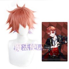再入荷 特価 獄寺隼人 コスプレ 家庭教師ヒットマンREBORN! ウィッグ+