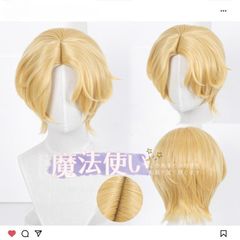 三分妄想 桜蘭高校ホスト部 埴之塚光邦 はにのづかみつくに ウィッグ