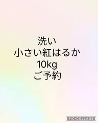 洗い  小さい紅はるか  10kg  ご予約