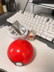 ポケットモンスター ホゲータ フィギュア