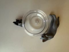 豆猫HOLDCATキーホルダー MN-12 茶白〜特製豆猫トレカ付き - メルカリ