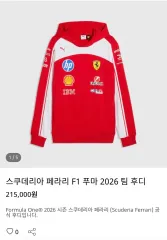 スクーデリア Ferrari 26シーズン PUMA フーディー Tシャツ Lサイズ 出品