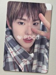 StrayKids SKZ-X SKZOO ポラロイド風トレカセット Stray Kids スキズ ポラロイド風トレカ24枚セット ソウルコングッズ
