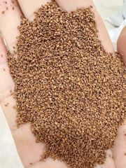 農場直送　マカ種子 5万粒 農場直送 マカ種子 5万粒 - メルカリ
