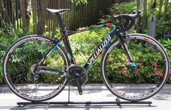 限定 S-WORKS ロード スペシャライズド マルセル・キッテル SL6 完成