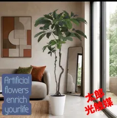 光触媒 人工観葉植物 ウォールグリーン フェイクグリーン ブラッサイア
