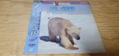 LD ; Disney(ディズニー) 白 荒野 LaserDiscのサムネイル
