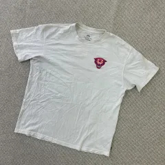 L NIKE SB Tシャツ 0421D
