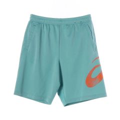 STUSSY ライトブルー スイムショーツ Lサイズ - メルカリ