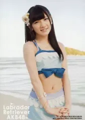 2026年最新】ラブラドールレトリバー akbの人気アイテム - メルカリ