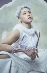 【中古】コレクションカード(男性) SEVENTEEN/ホシ(HOSHI)/「HAPPY BURSTDAY」(NEW MYSELF VER.)ショルダーバッグ付属フォトカード