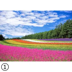 絵画風 壁紙ポスター (はがせるシール式) 選べる2点セット(A3サイズ) 花畑 貼るインテリア キャラクロ ＜日本製＞ ウォールステッカー お風呂ポスターのサムネイル