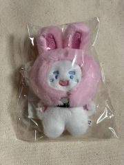 tuki.15 usagi-san ぬいぐるみ - メルカリ