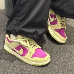 NIKEダンクLow レトロse ダンク40周年特別モデル 定価1万7千円 - メルカリ
