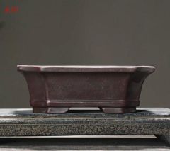多肉植物鉢 紫砂鉢 盆栽鉢 植木鉢 小品盆栽鉢 大品盆栽鉢 - メルカリ