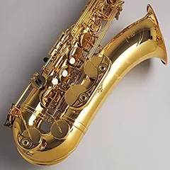 2026年最新】YAMAHA yts-24の人気アイテム - メルカリ