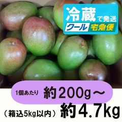★小さい☆摘果マンゴー　約7.5kg 期間限定 摘果マンゴー （2.5kg）：沖縄県産の果物｜食べチョク｜産地