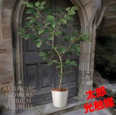 光触媒　観葉植物　ウォールグリーン　フェイクグリーン　ベンガルボタイジュ150 光触媒観葉植物ウォールグリーンフェイクグリーンベンガルボダイジュ150