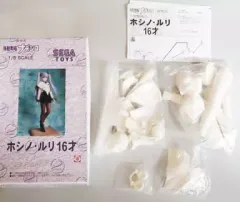 【中古】フィギュア ホシノ・ルリ 16才(艦長) 「劇場版 機動戦艦ナデシコ」 1/5 ガレージキットのサムネイル