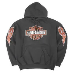 ハーレーダビッドソン HARLEY-DAVIDSON 珍品 ミスプリント 00s スウェット パーカー フーディー ロゴ エンブレム フレイムス ヴィンテージ バイカー 古着 メンズ パーカー ブラック / 黒 XL【中古】のサムネイル