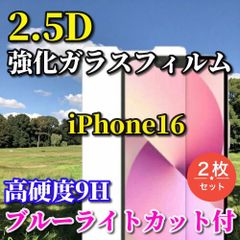 お買い得商品　2枚セット☆ブルーライトカット機能付【iPhone16 iPhone16Plus iPhone16Pro iPhone16ProMax】★お買い得商品 高硬度9H 高透過★2.5D強化ガラスフィルム

