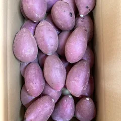 ききらら様専用です　丸芋　10キロ