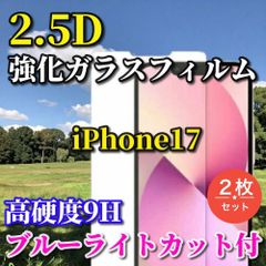 大特価☆2枚セット☆ブルーライトカット付【iPhone17 iPhone17AIR iPhone17Pro iPhone17ProMax】★お買い得商品 高硬度9H 高透過 曲面加工★2.5D強化ガラスフィルム

