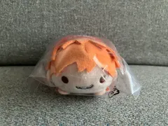 未開封 ハイキュー 日向 のるキャラ