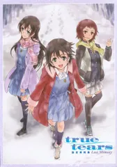 P.A WORKS true tears 設定資料集 Last Memory