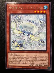 2026年最新】マルチャミー・プルリアの人気アイテム - メルカリ
