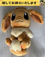 f 포켓몬 이브이 꼬리 보여 봉제인형