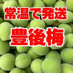 ☆大詰終盤☆【大粒青梅】3kg《希少 稲積梅AB級ブレンド特別激安品