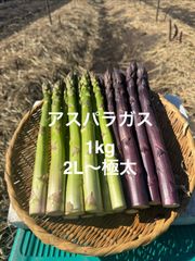 紫アスパラガス 2kg 大物 - メルカリ