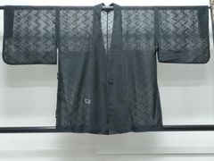 塵よけコート セミの羽根 黒地 ドット柄 - メルカリ