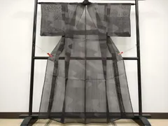 平和屋着物＊夏物　生紬　流水文　黒地　正絹　逸品　CABF2610txのサムネイル