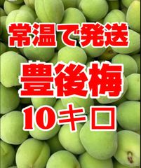 おひさま農園の農薬不使用 青梅 梅10kg | Mercari