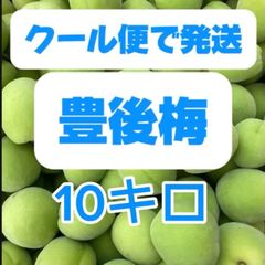 ねこさま 完熟7キロ クール便配送 長野県宛 ねこさま 完熟7キロ クール便配送 長野県宛 - メルカリ