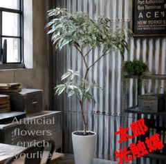 光触媒 人工観葉植物 ウォールグリーン フェイクグリーン ベンジャミン 